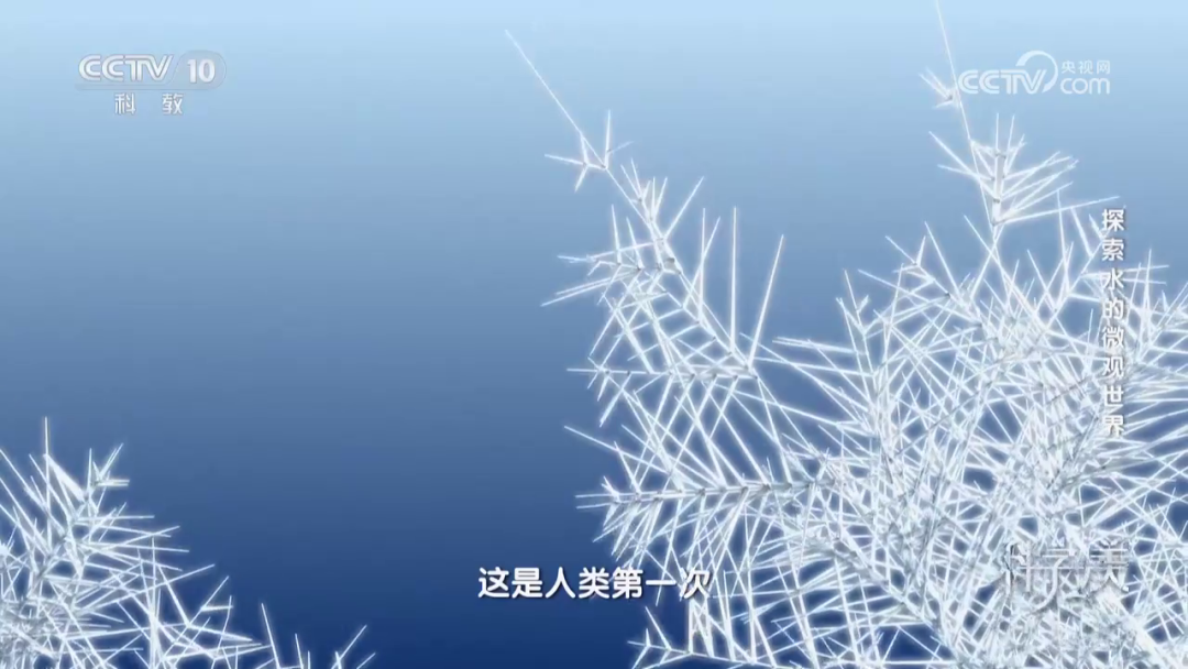澤攸科技