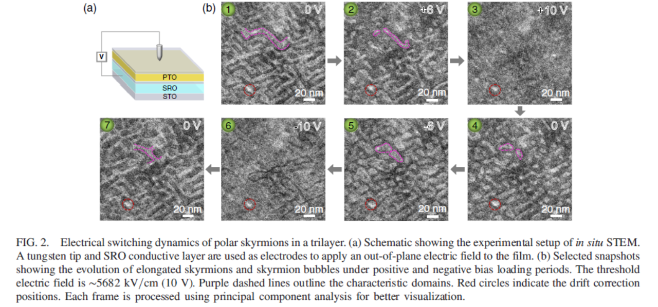 Physical Review Letters:北京大學利用原位TEM揭示電場下極性斯格明子動力學(圖1) TEM實驗1.png